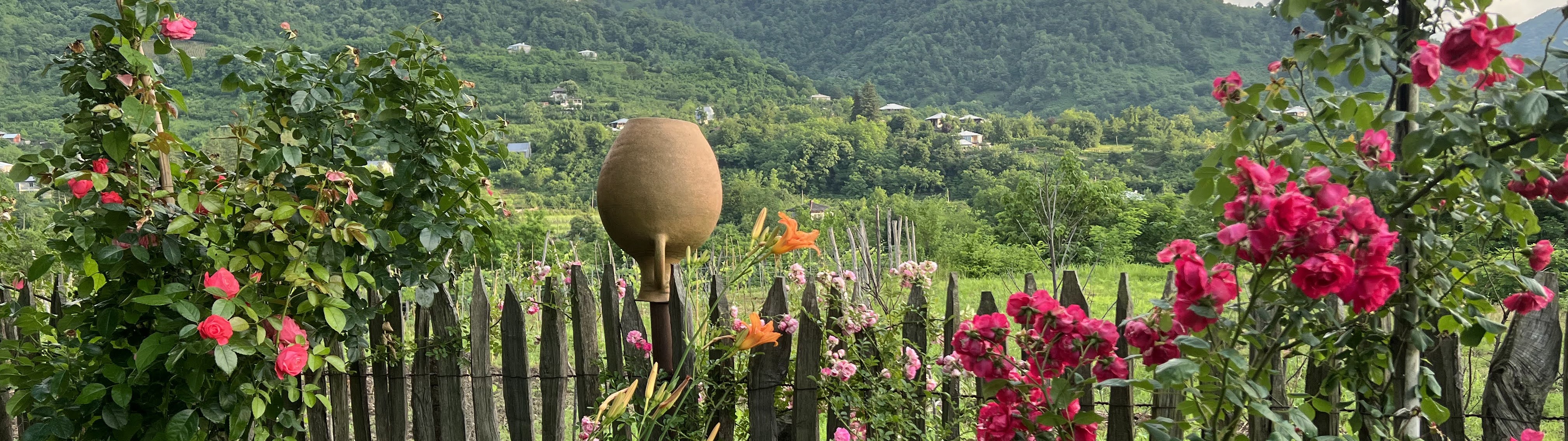 Georgian garden with roses and mountains