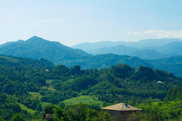Guria green hills
