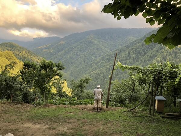 Mountain view from the garden
