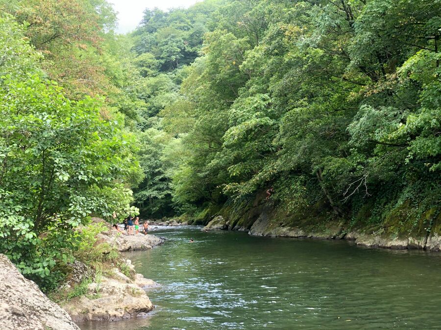 Swimming in the river